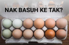 Resep ayam bakar menjadi salah satu menu andalan hidangan dari. Perlu Atau Tidak Basuh Telur Sebelum Simpan Doktor Ini Jelaskan Cara Betul Maskulin
