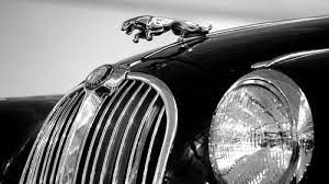 Jul 28, 2021 · free download best latest cars hd desktop wallpapers background, wide screen amazing new popular images of car like aston martin, audi. 20 000 Best Jaguar Car Photos 100 Free Download Pexels Stock Photos