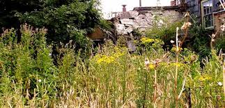 Kills right down to the roots. How To Kill Weeds Permanently Get Rid Of Weeds Forever