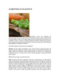 Anumiti factori pot duce la formarea de pietre la nivelul vezicii biliare litiaza biliara. Doc Alimentatia In Colecistita Popescu Cornelia Academia Edu