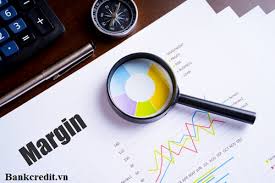 Bien Lá»£i Nhuáº­n La Gi Y NghÄ©a Cach Tinh Thong Sá»' Bien Lá»£i Nhuáº­n Má»›i Nháº¥t