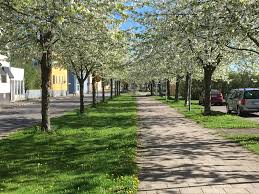 Är det här ditt företag? Monsteras Handel Monsteras Handel