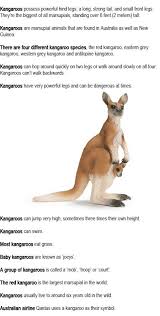 Kangaroo Facts For Kids Kangaroo Facts For Kids Facts For Kids Kangaroo Facts