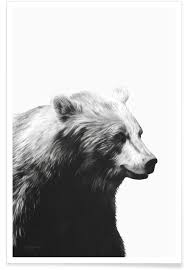 Black and white engrave isolated vector bear. Bear Profile Black Illustration Poster Juniqe