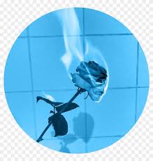 Aesthetic Flower Blueflower Circle Blue Bleu Overlays Rose On Fire Blue Clipart 4909725 Pikpng Pin amazing png images that you like.