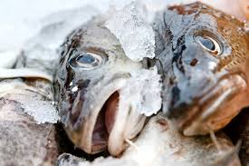 Jetzt ausprobieren mit ♥ chefkoch.de ♥. Brandenburgs Angler Vs Ostseefischer Schutz Fur Den Problemfisch Dorsch Maz Markische Allgemeine