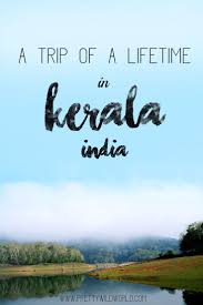 Twenty Nine Strangers One Bus And A Trip Of A Lifetime To The Beautiful Kerala Kerala Travel Trip India Travel