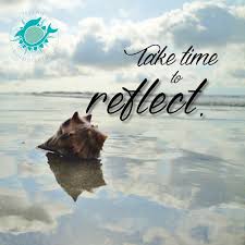 I've used mirrors in a lot of movies. Take Time To Reflect Living Porpoisefully Reflection Beach Life Life
