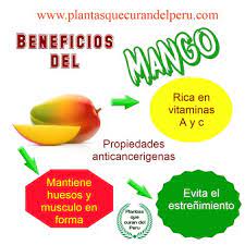 ¿qué es?, ¿para qué sirve? Plantas Que Curan Y Sanan La Diabetes Panamena Planta Medicinal Las Plantas Que Curan La Diabetes Son Florademore