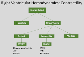 Image result for Cardiac Output