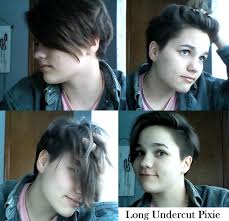 Androgynous haircuts and hairstyles can be worn on either men or women. Long Undercut Pixie Shaved Sides Reversible Androgynous Haircut Idea Androgynous Haircut Short Hair Styles Pixie Undercut Hairstyles