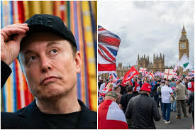 Cabinet minister slams Elon Musk's call to 'fight back or die' at Tommy Robinson's London protest