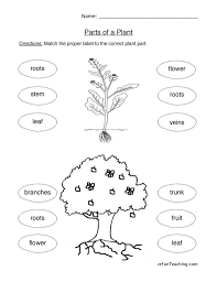 Life Cycle Worksheet Plant Life Cycles Worksheet Plant Lab Plants Worksheets Parts Of A Plant Plant Activities
