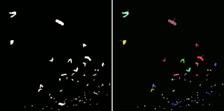Tracking Bats And Multi Object Segmentation In Opencv Moo Ack Productions