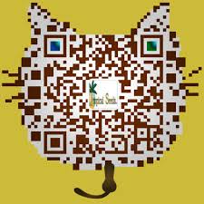 Image result for Terminalia tricristata