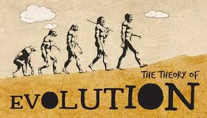 Darwin's theory of evolution by natural selection is a theory that is and has been widely accepted this is evidence to darwin's theory because it shows how species constantly change and adapt to. Darwins Theory Of Evolution Biology For Kids Mocomi