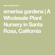 Emerisa Gardens A Wholesale Plant Nursery In Santa Rosa California Wholesale Plant Nursery Wholesale Plants Garden Nursery