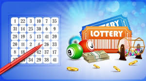 Reguli loto polonia multi 20/80. Lotto Polonia Multi Ana Maria De La Roata Norocului