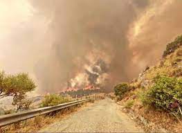 Incendi nel sud italia, bruciano sicilia e calabria: 1dymj3p3ltym8m