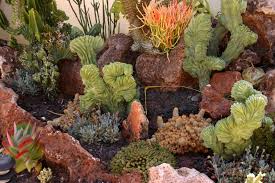 Part Of The Undersea Succulent Garden Looking Like A Coral Reef At The San Diego B Succulent Landscaping Succulent Landscape Design Succulent Garden Design