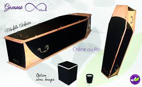 Epingle Sur Cercueils