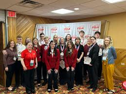 Image result for Ochna richardsiae