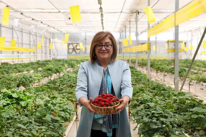 Gaziantep Büyükşehir çöp depolama sahasında organik üretimle yılda 28 ton  hasat yapıyor İhlas Haber Ajansı