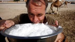 Cook with camel milk when recipes call for milk. U S Firm Sells Camel Milk As Healthy But Pricey Drink Al Arabiya English