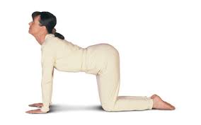 Now gently arch the lower back feeling your abs stretch. Stretching Lying On The Abdomen