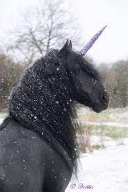 images?q=tbn:ANd9GcQ71HuThtiANLuu0XnxHQmraZUWRKCbX-hLXy0lJ2KpP4RClNvwECF2amkbKjkJhAzX3ek&usqp=CAU