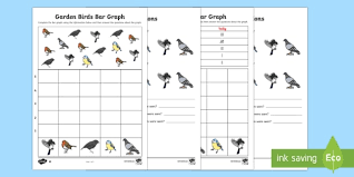 Bar Graphs With Birds Differentiated Worksheet Worksheet