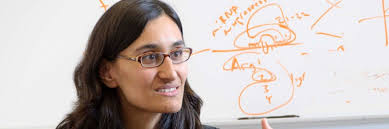 Research Faculty & Staff