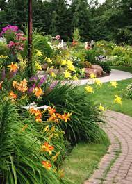 Some perennials to not cut back. Pinching Pruning And Cutting Back Perennials Natureworks