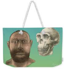 Homo Erectus Facial Reconstruction Weekender Tote Bag