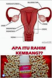 Sehingga, salah satu cara mengecilkan perut yang efektif adalah dengan membatasi asupan garam. Apa Itu Rahim Kembang Apakah Jamu Kacip Malam Byfw Facebook