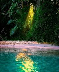 Pin On Places Jamaica Land We Love