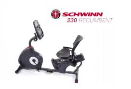 Compared to an upright or a spin bike, exercising on a recumbent doesn't put that much pressure on your back and legs. Schwinn 230 Recumbent Bike Review May 2021 Sportstopics