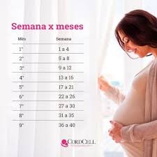 Calcular Quantas Semanas De Gestação Estou Calculo De Semanas X Meses Da Gestacao Cordcell Meses De Gravidez Tabela De Gravidez Imagens De Gravidez