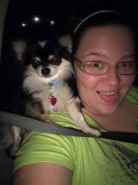 This is Ash's historical participation in Pokemon leagues.