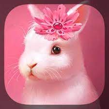 We did not find results for: Schattige Dieren Achtergrond Nieuwste Versie Voor Android Download Apk