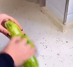Any 6 for $12, 10 for $15 or 16 for $20. 210 Kitchen Gadgets Ideas Kitchen Gadgets Gadgets Kitchen