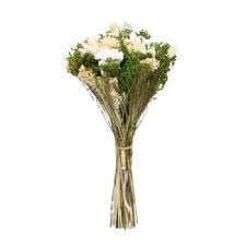 We did not find results for: La Herradura Istanbul Flower Delivery Eternal Moments With Dried Flowers Flower Delivery La Herradura Online Florist La Herradura