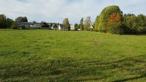 Hallo, ich habe einen pachtgarten mit einem haus zum verschenken. Grundstucke Strassberg Grundstucke In Strassberg Zum Kauf