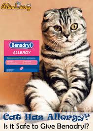 For example, kittens and elderly cats may need a significantly lower dose. Benadryl For Cats 7 Best Uses For It Revealed