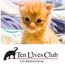 Maybe you would like to learn more about one of these? Community Pet Care Hospital Home Facebook