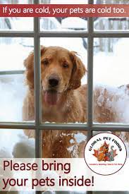 Please Bear In Mind That Your Pets Get Cold Too Dog Sand Cats Should Not Be Left Outside During The Cold Winter Weather For Lon Pets Dog Lover Quotes Puppies