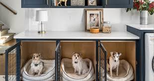 Everything from decor to home cooked meals for your dog. Non Negotiable Dog Room Decor Essentials Hey Djangles