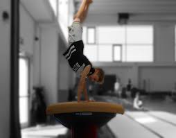 Campionati mondiali di ginnastica artistica. Artistica G S D Regina Margherita