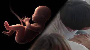Schwangerschaft Baby Im Bauch Sehr Aktiv Ursachen Und Bedeutung Focus De