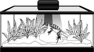 In short… to keep your turtle warm without a heat lamp you need to heat the room, and use a heater in your tank. How To Create A Proper Day Night Cycle In Your Terrarium